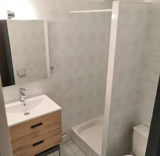 Grand T1 Tres Calme Proche Centre